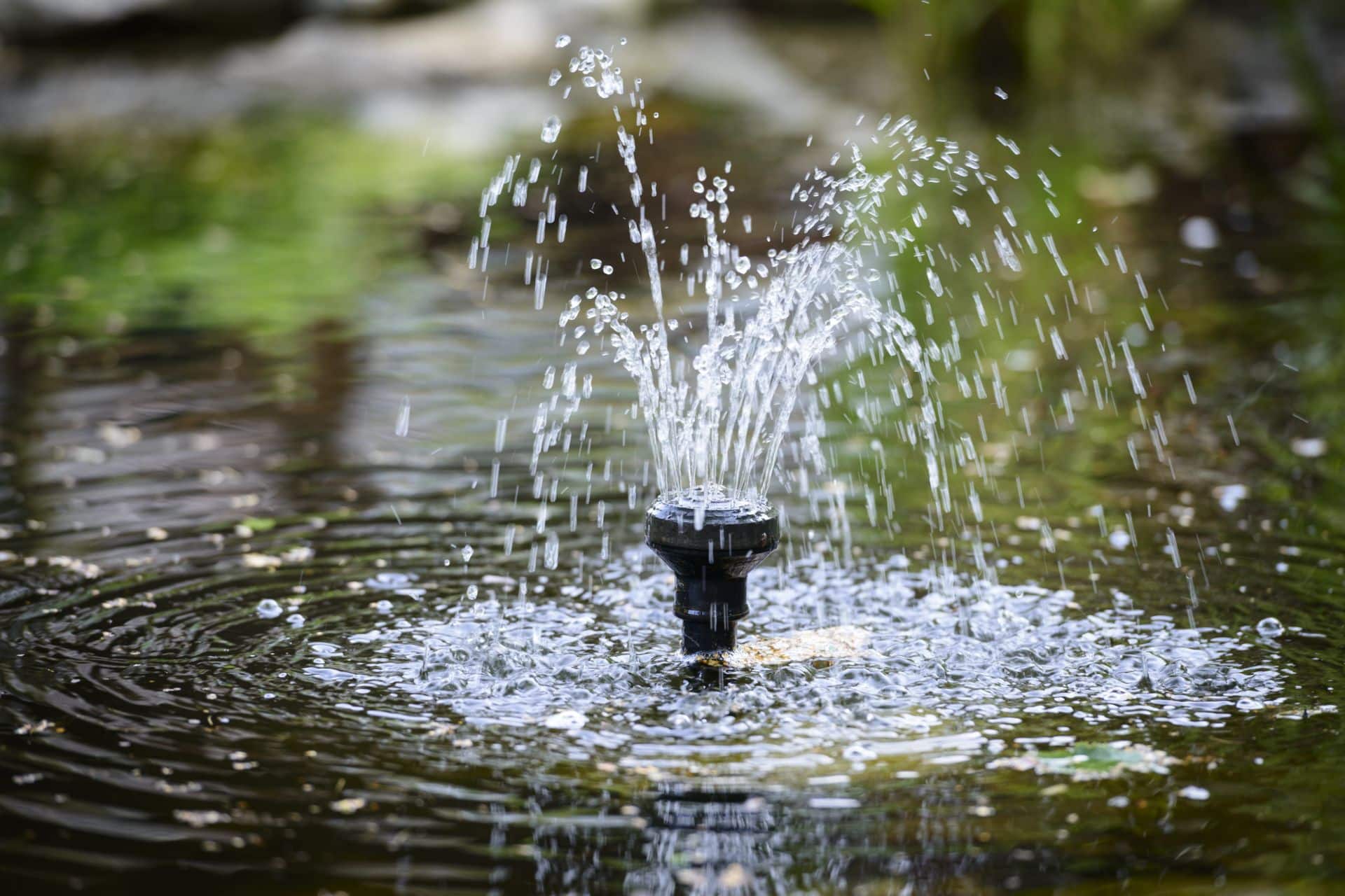 A close-up of a small, bubbling fountain in the middle of a pond, a feature offered by Secret Gardens as part of their Outdoor Aquatics services. The fountain creates a gentle spray of water, adding movement, sound, and a focal point to the serene pond. The water's surface reflects the surrounding greenery and sky, highlighting how a well-placed Fountain can enhance a quiet landscape.